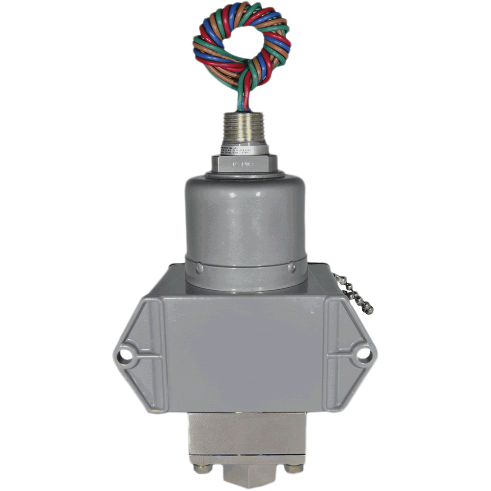 004-646GZE1_Back.png